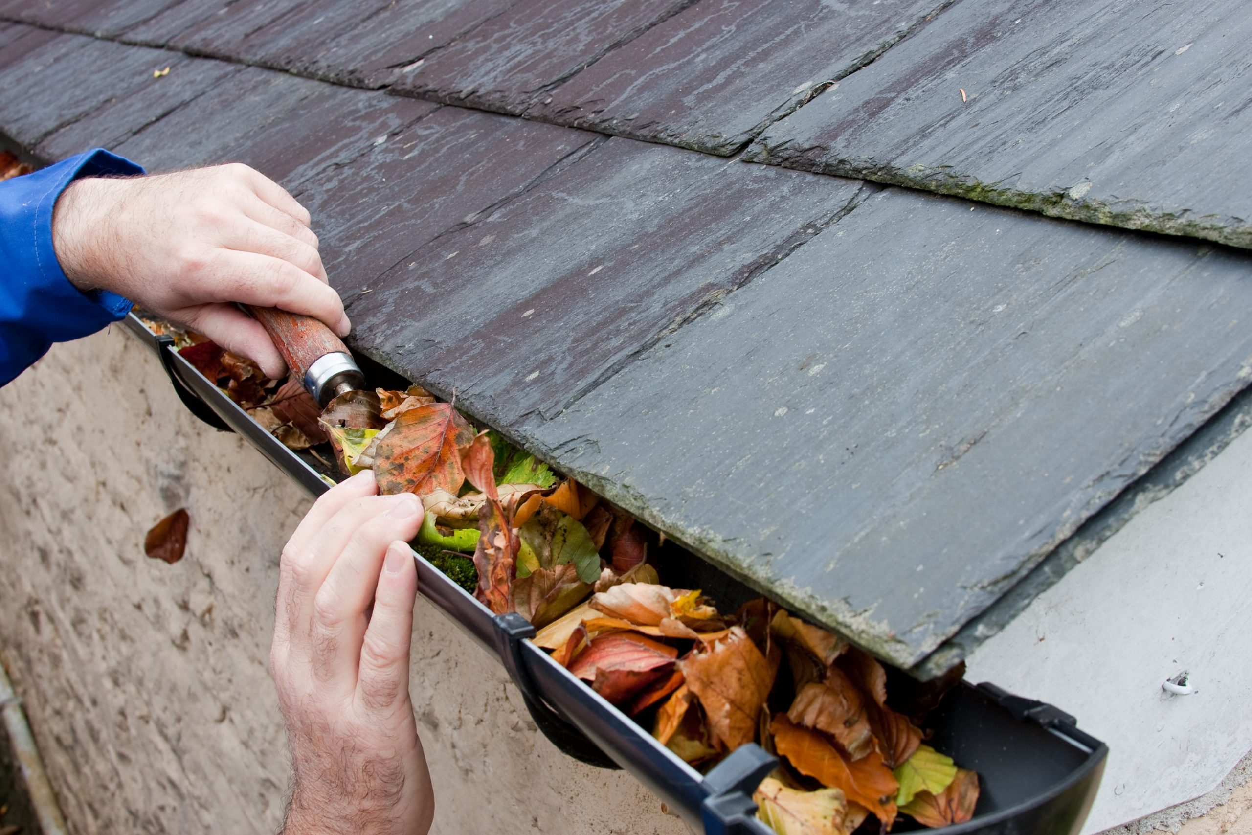 Travaux d’automne : comment bien préparer sa maison pour l’hiver ?